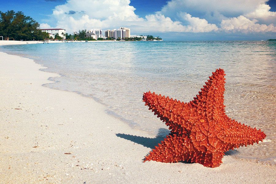 all inclusive yacht charters bahamas