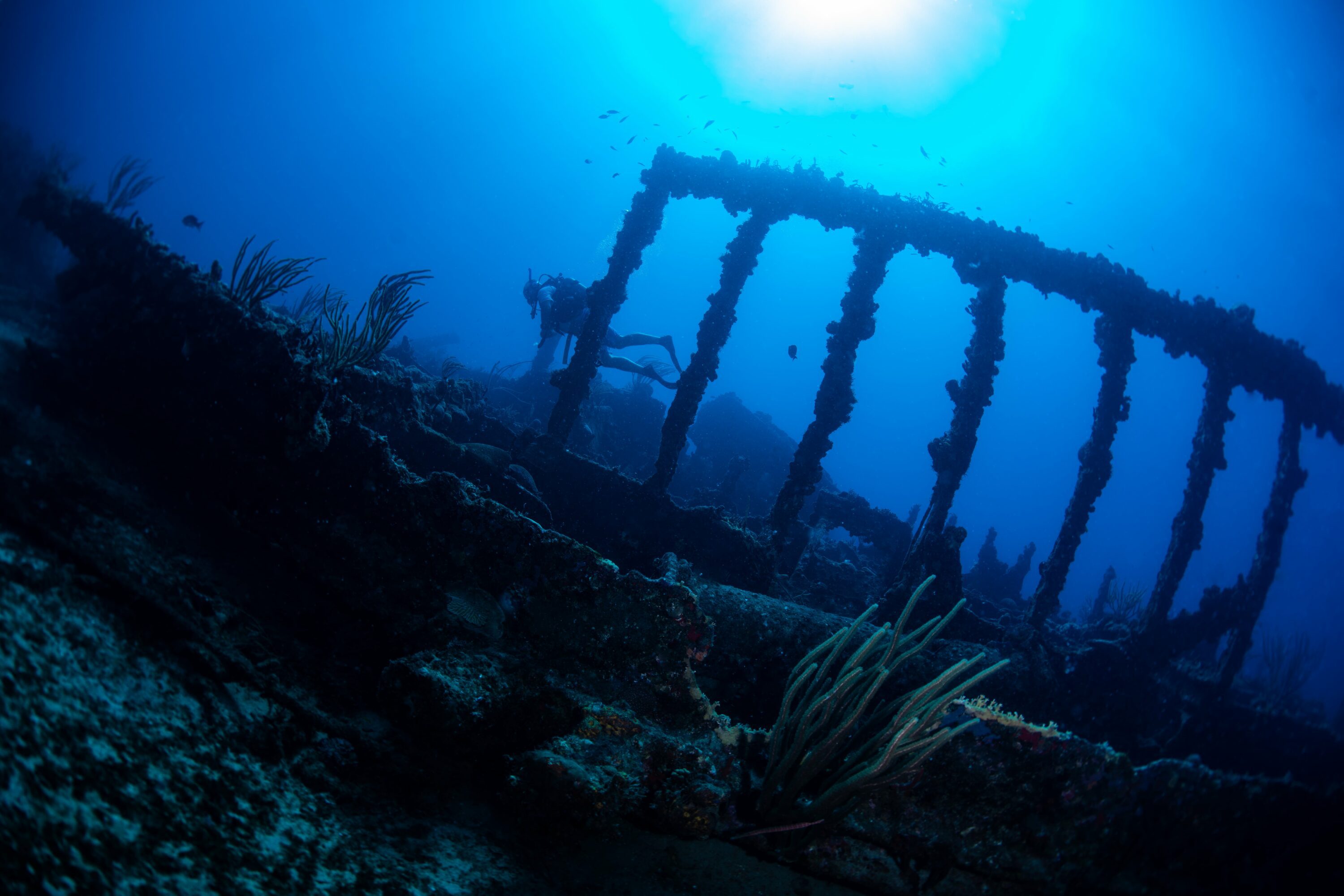 A diver explores the Wreck of the Rhone.