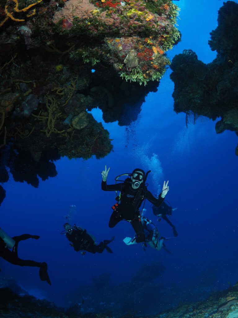 The most amazing yacht diving experience